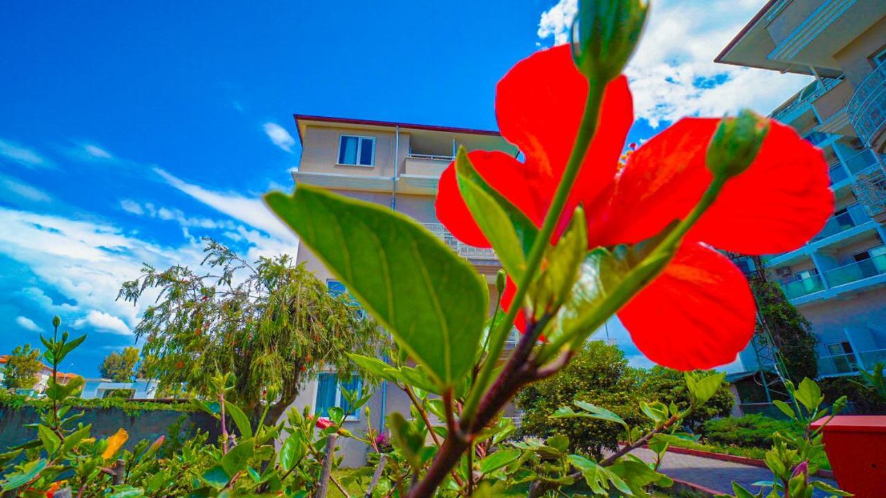 Club Wasa Holiday Village All Inclusive Toslak Eksteriør bilde